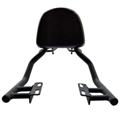SPLENDOR BACK REST WITH CARRIER M-2