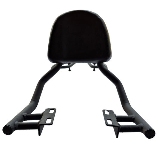 SPLENDOR BACK REST WITH CARRIER M-2